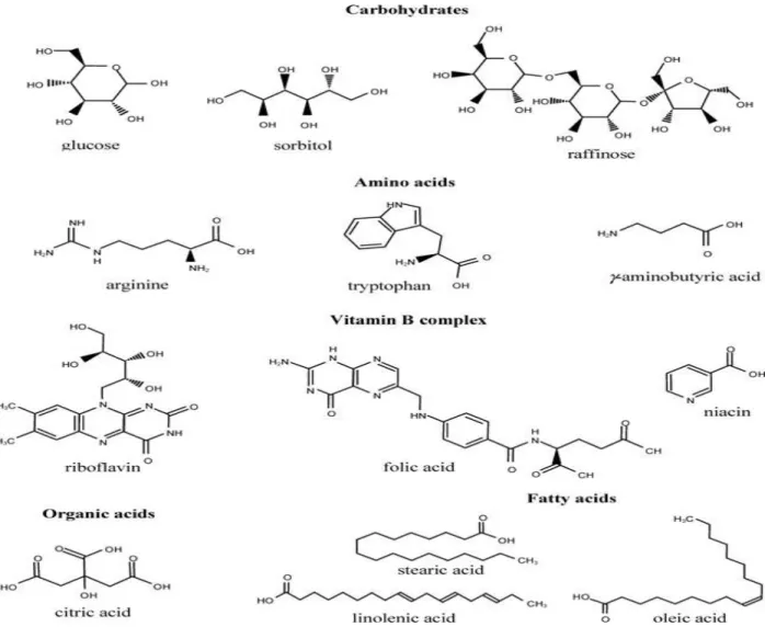 Figure 6: Chemical structure of primary metabolites (Carbohydrates) (Hounsome et al.,2008)