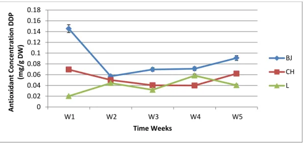 Figure 1: Total antioxidant capacity (DPPH) black jack, chicory and lettuce over growing period