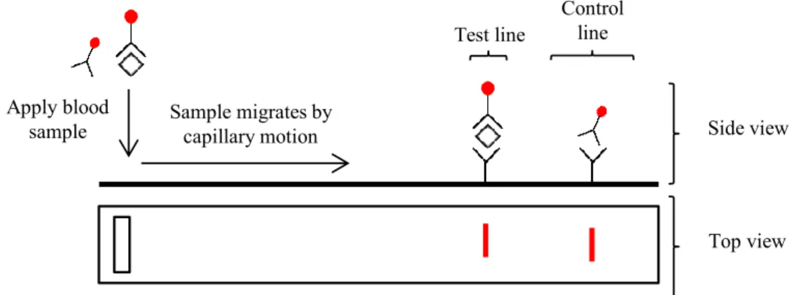 Figure 1.4  Basic outline of a simple rapid diagnostic test (RDT), both top and side view 