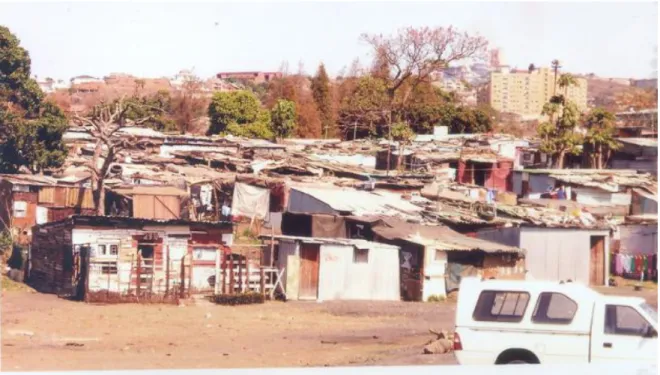 Figure 4: Macaranga Informal Settlement         