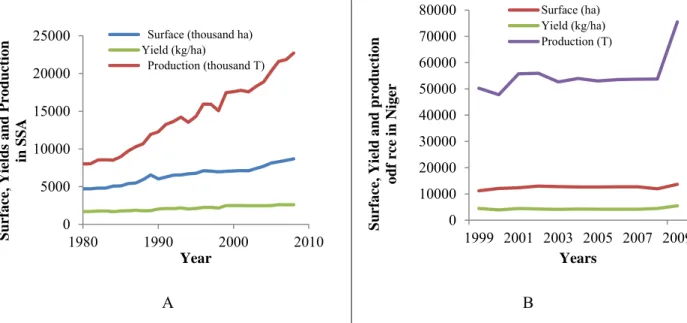 Figure  1.3:  Evolution  of  paddy  rice  production,  rice  growing  surfaces  and  yield  in  Africa  (A)  (IRRI, 2009) and in Niger (B) (Sido, 2010) 