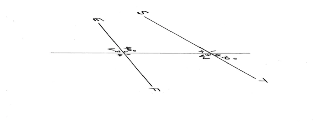 Figure  2.3:  Parallel  lines  adapted  from  the  CAPS  Classroom  Mathematics  Grade  10  learner book, Pg 198 exercise 9.1 no