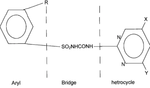 Figure 9: General structure of an ALS inhibitor (Beyer et al., 1987).