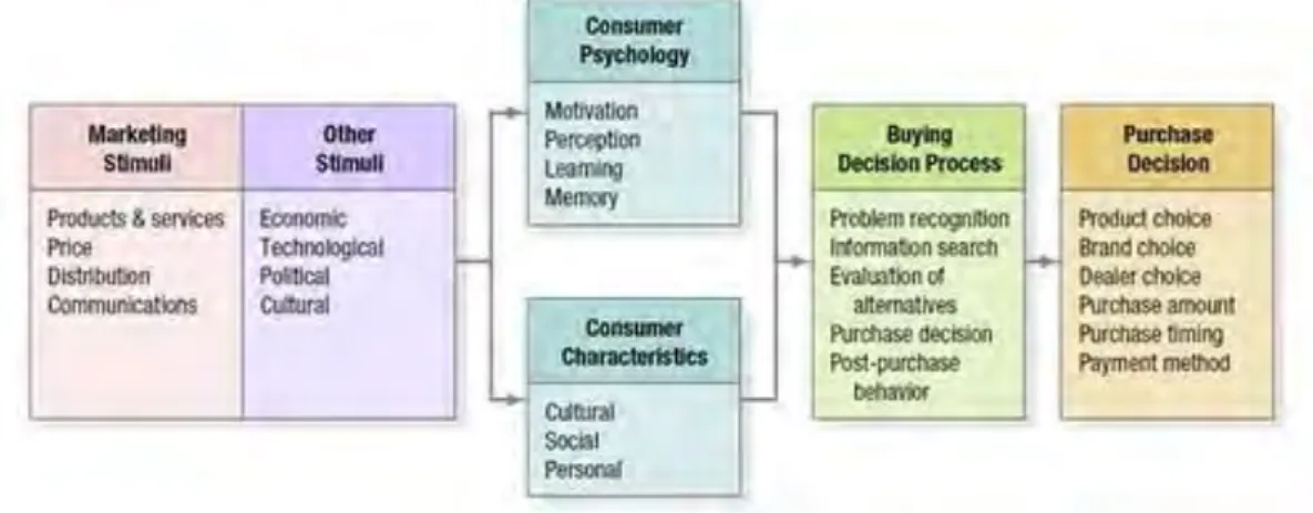 Figure 2.1 The model of consumer behaviour  
