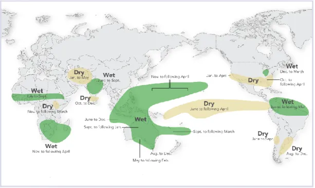 Figure 2.2 Rainfall conditions during La Niña event (Source: www.iricolumbia.edu)  2.4.2 ENSO and rainy season characteristics 