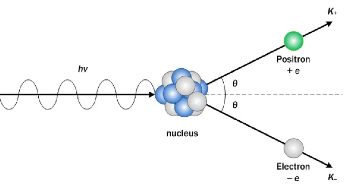 Figure 2.2: Schematic diagram of the pair production process