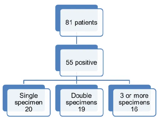 Figure  10:  Tuberculosis  positive  result  according  to  the  number  of  specimens positive  