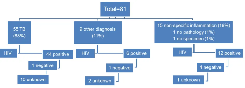 Figure 11: Laparoscopic results in relation to HIV status. 