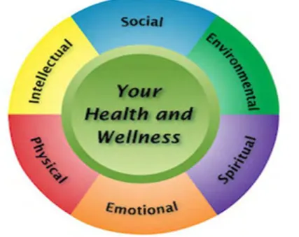 FIGURE 2-1  WELLNESS WHEEL 
