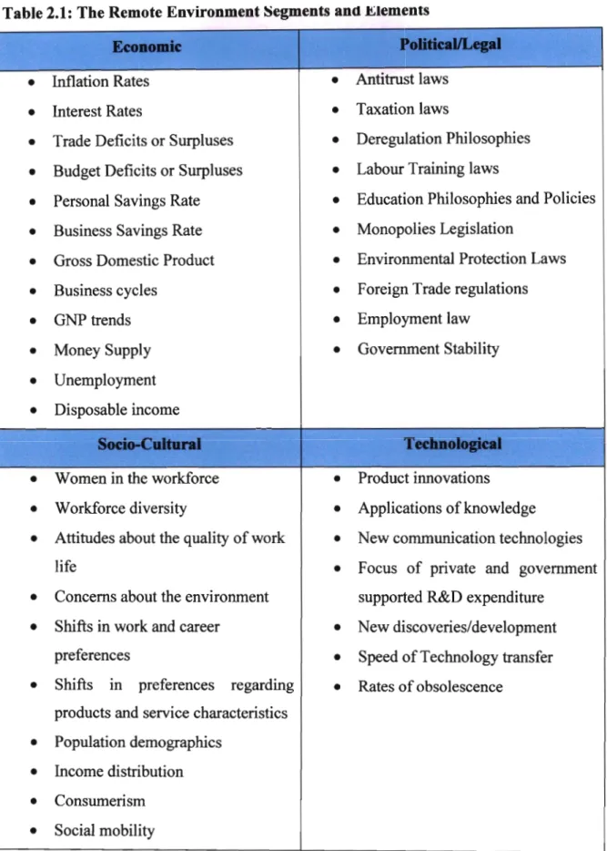 Table 2.1: The Remote Environment Segments and Elements