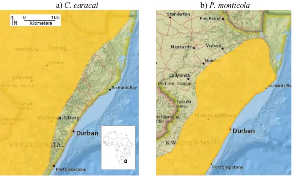 Figure  1.2.   Distribution  of  a)  C.  caracal  and  b)  P.  monticola  in  KwaZulu-Natal,  South  Africa,  according  to  the  IUCN  Red  List  assessment  in  2008