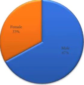 Figure 4.1: Gender distribution 