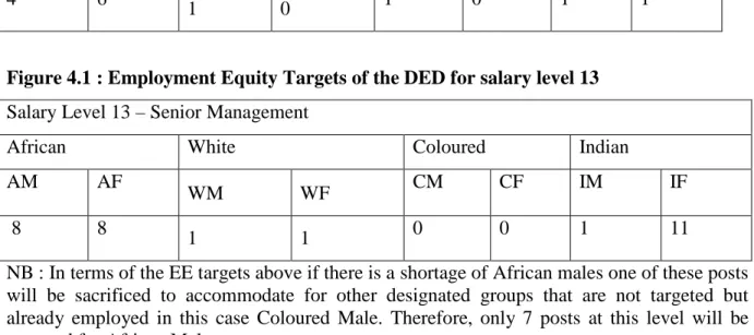 Figure 4.1 : Employment Equity Targets of the DED for salary level 13   Salary Level 13 – Senior Management 