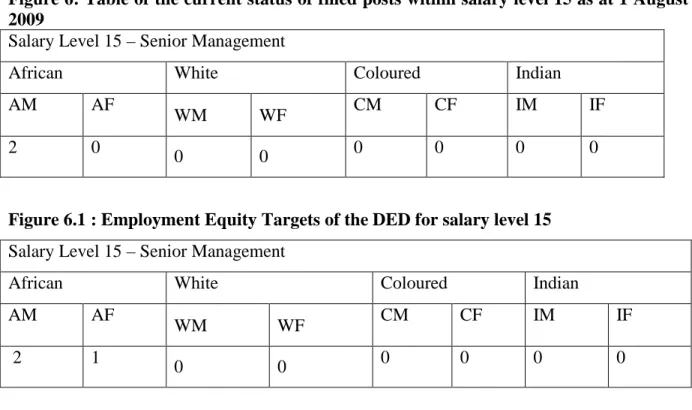 Figure 6.1 : Employment Equity Targets of the DED for salary level 15   Salary Level 15 – Senior Management 