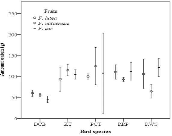 Fig. 3.1 The absolute mass (Mean ± SE) of Ficus spp. fruit eaten by four indigenous (Dark- (Dark-capped  bulbul-DCB,  Red-winged  Starling-RWS,  Purple-crested  Turaco-PCT  and  Knysna  Turaco-KT) and one non-native (Rose-ringed Parakeet-RRP) frugivorous b