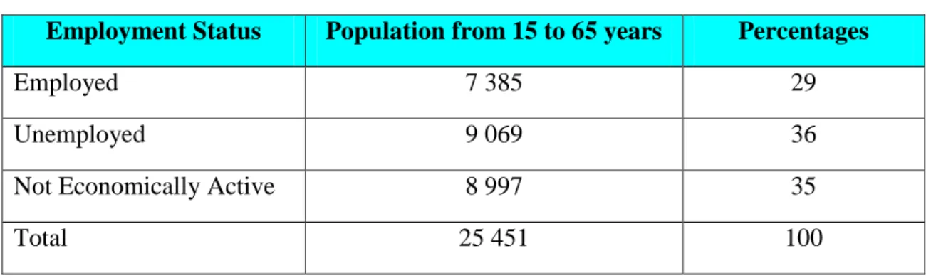 Table 4.5: Household Income Levels in Kwa-Mashu 