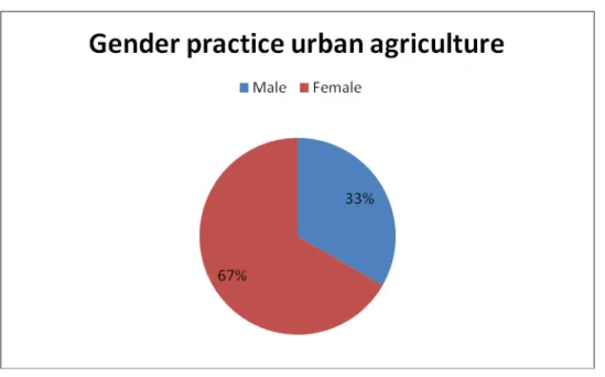 Figure 5.1. Gender Distribution in the Practice of Urban Agriculture 