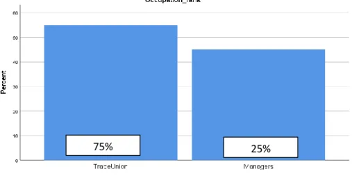 Figure 4.4  Occupation and rank 
