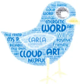 Figure   4:   Collage   created   by   Mentor   1 