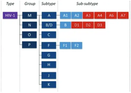 Figure 1.3 Updated classification of HIV-1 group M lineages. Figure 1.4: Maximum  likelihood phylogenetic analysis of near full-length genome sequences of subtypes A and  subtype D (77)