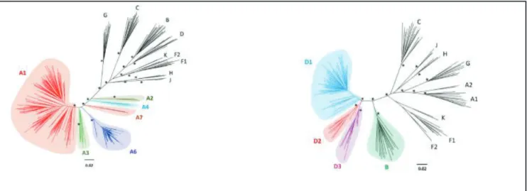 Figure 1.4: New sub-sub types for A and D 