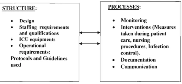 Figure representing the conceptual framework
