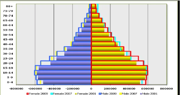 Figure 2: Population Pyramid of KwaZulu-Natal Province in 2001  Source: Annual Report Department of Health KZN 2002 