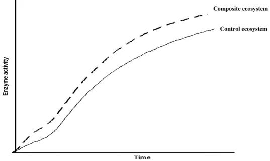 Figure 2.8 A hypothetical graph predicting the activity of a composite ecosystem 