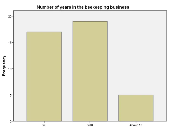 Figure 5.4: Years in Beekeeping 