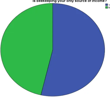 Figure 5.5 Source of Income 