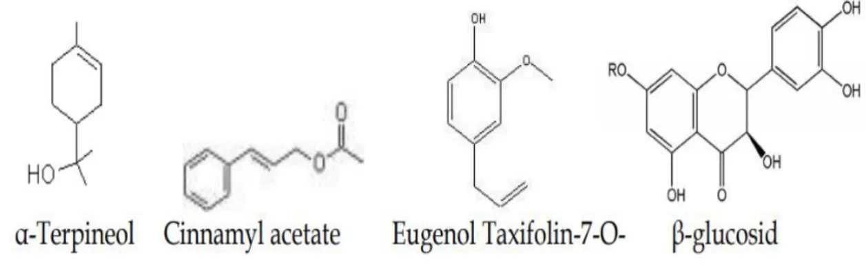 Figure  2.3:  Basic  structures  of  some  pharmacologically  important  plant  derived  glycosides (Doughari, 2012)