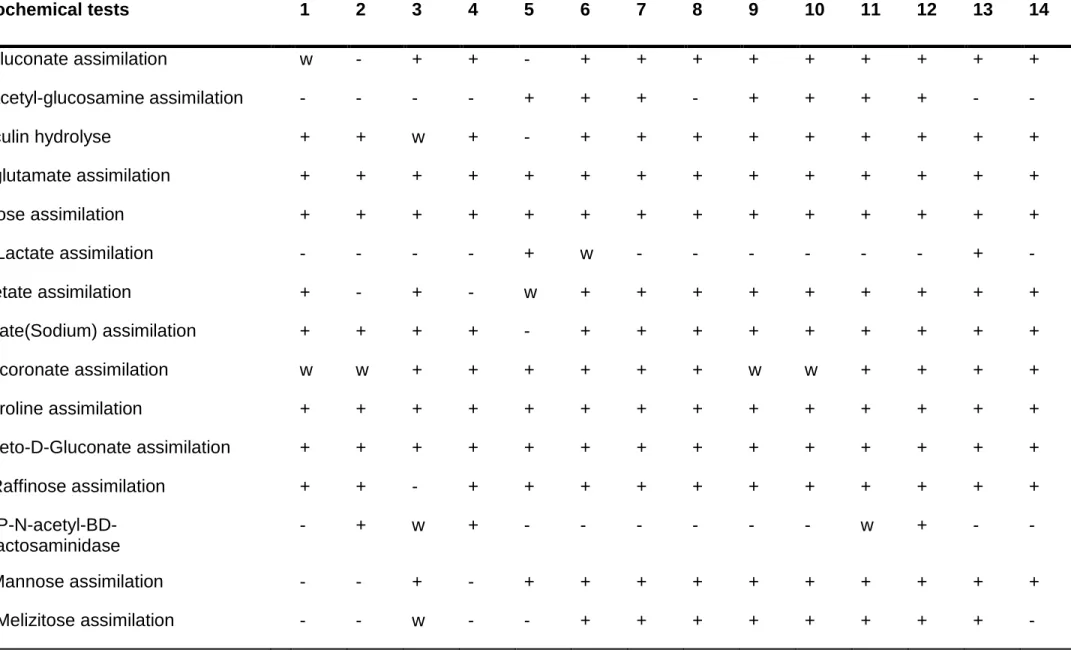 Table 4.2. Biochemical characterisation of selected pentose fermenting yeast strains. 