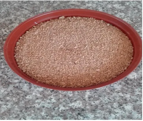 Figure 3.3 Solanum retroflexum seeds after fermentation  process. 