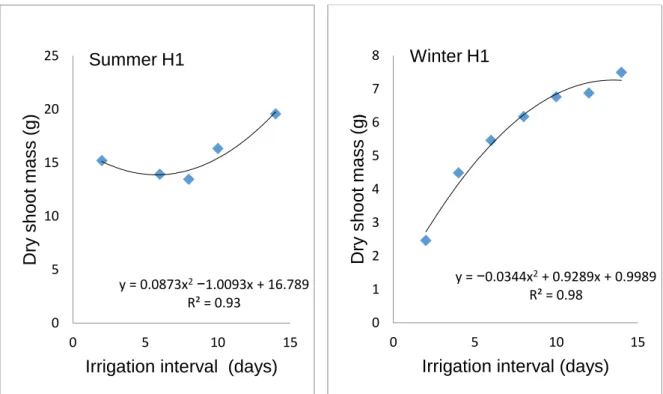 Figure 3.6 Influence of irrigation interval on dry shoot mass during summer first (H1)  harvest and winter first (H1) harvest