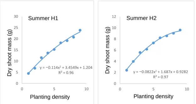 Figure 3.8 Influence of planting density on dry shoot mass during summer first  (H1) and second (H2) harvests