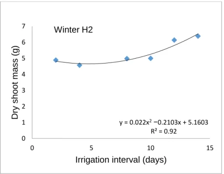 Figure 3.7 Influence of irrigation interval on dry shoot mass  during winter second (H2) harvest  