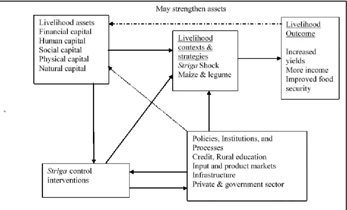Figure 3.1: Sustainable Livelihood Framework (SLF)  Source: Adapted from DFID, 2002, Mignouna et al., 2013 