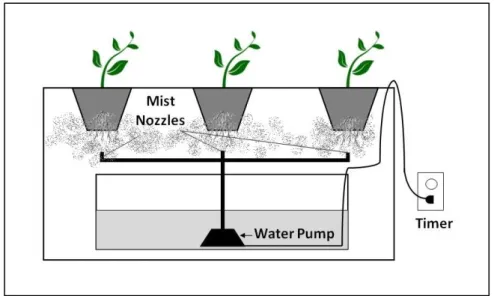 Figure 2.3  Aeroponic provision of nutrients to plant roots (Birkby, 2016) 