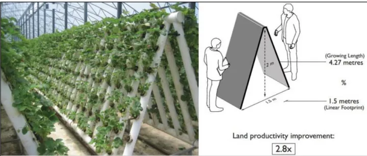 Figure 2.5  A  stacked  tray  system  which  makes  use  of  trays  to  accommodate  plants  (Graff,  2012) 