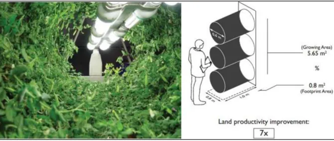 Figure 2.6   Plants  grown  hydroponically  in  stacked  drums  that  use  a  single  artificial  light  source per drum (Graff, 2012) 