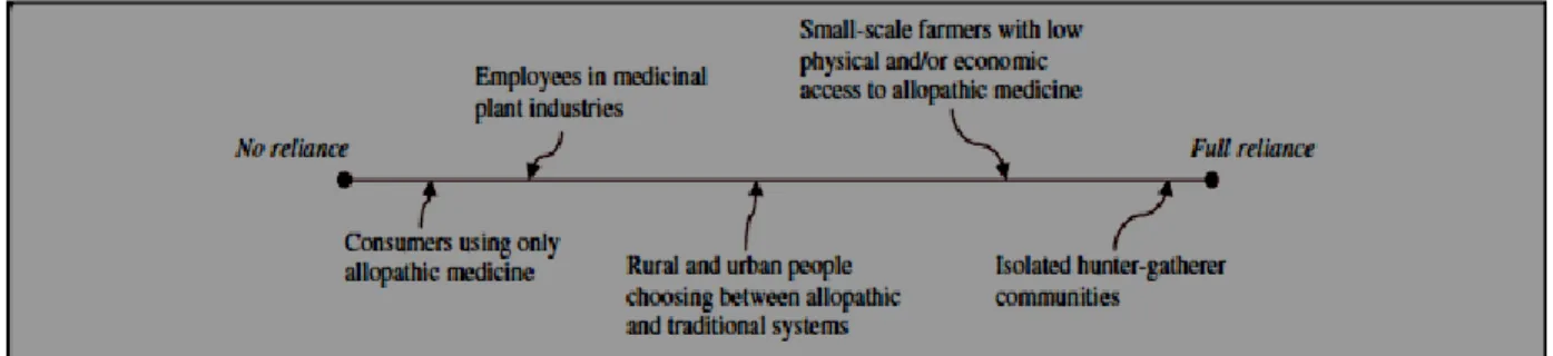 Figure  2.1:  Examples  of  medicinal  plant  utilization  and  reliance  continuum  in  the  communities