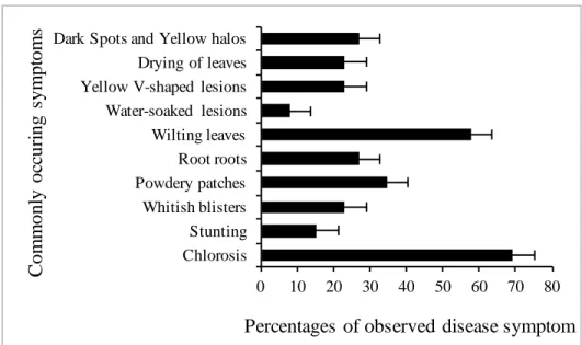 Figure 3.2: Commonly  observed  deviation from normal  plant growth (disease symptoms)     according to farmers’ responses in Domboshava