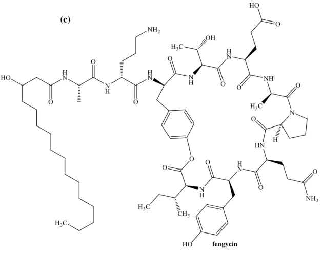 Background - Production Of Lipopeptide Biosurfactant By Paenibacillus 