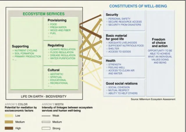 Figure 2.1: The classification of ecosystem services used by the Millennium Ecosystem Assessment (Source: Cork et al, 2007) 