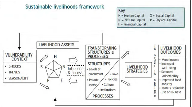 Figure 2.6: Sustainable Livelihoods Framework (Source: DFID, 1999) 