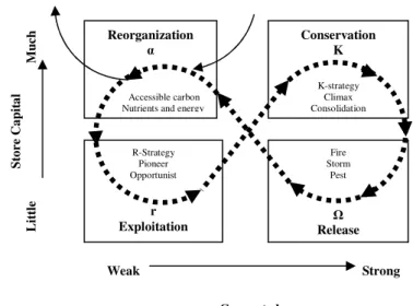 Figure 2.2: The four ecosystem functions and the flow of events between them (Source: Holling 1995)