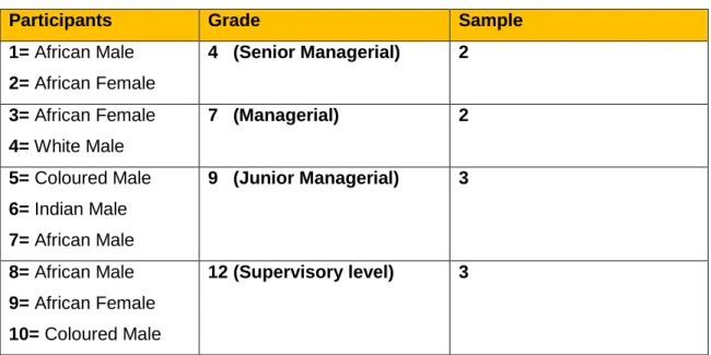 Table 4.1: Participants at Hulamin  