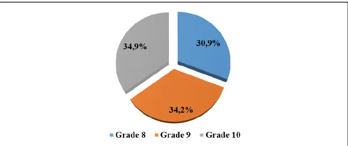 Figure 4.5 Respondents school grade profile. 