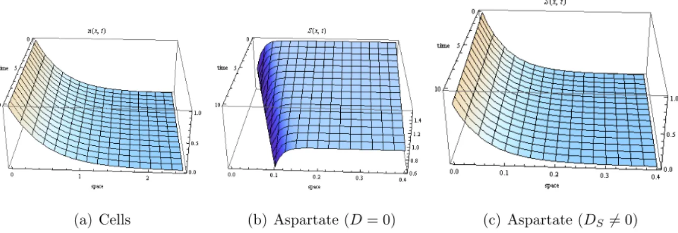 Figure 3.2: Distribution of cells in the absence of chemotaxis under zero growth (we used c = 10µm/sec and c 2 = −γ = −0.05/sec, for D S = 0, and c = 1.5mm/hour and c 2 = −0.02/sec, for D S 6= 0).