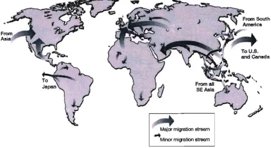 Figure 1. Illustrating the migration patterns in the early 21 st Century